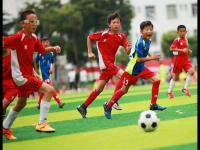 中国VS泰国直播_中国VS泰国比赛高清免费在线直播_中国VS泰国无插件在线观看视频